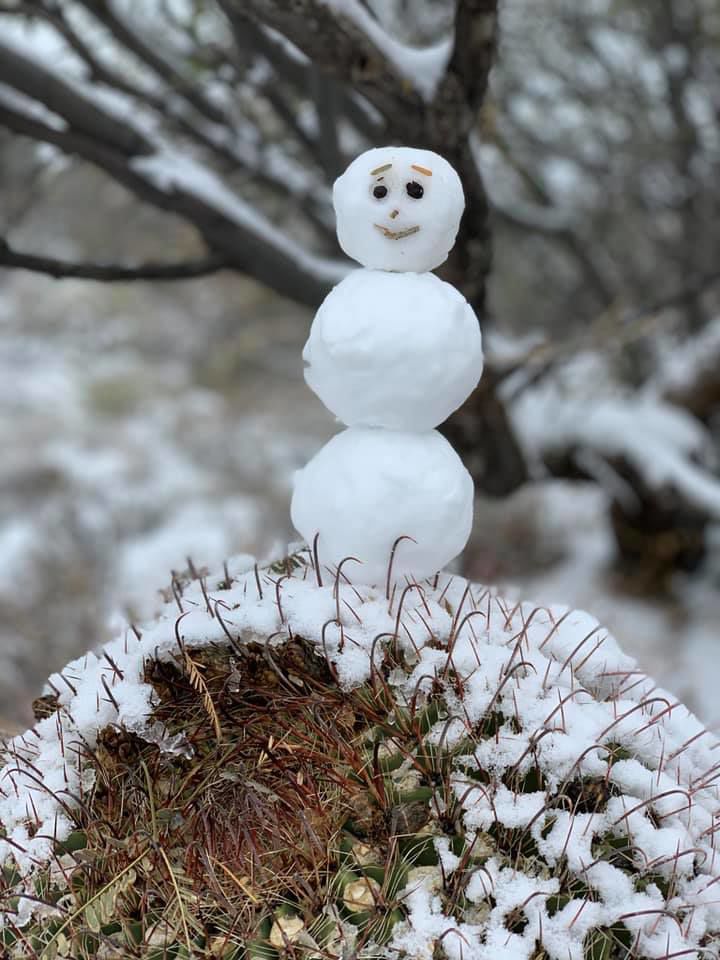 Snow in ÃÛèÖÖ±²¥